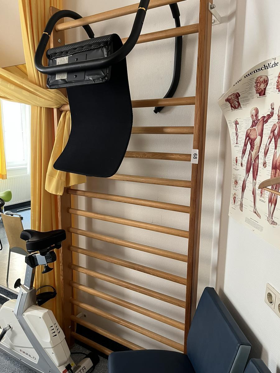 Sprossenwand mit Wandhalterung, ca. 100x240cm?d=2026-03-09 21:31:59