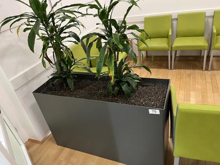 Hydro Plfanze inkl. Pflanzengaf��, 120x40x75cm, Metall