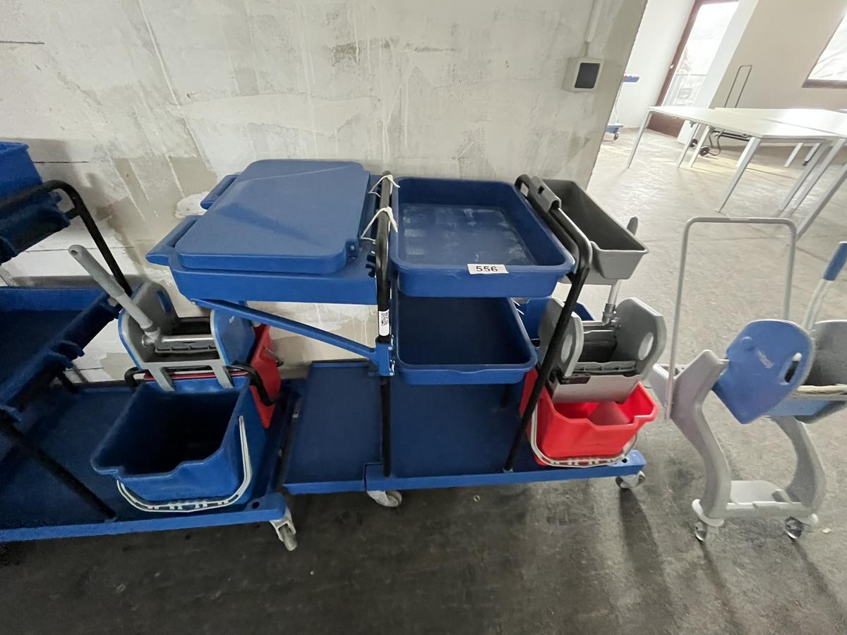 BAYERSAN Reinigungswagenset mit Handpresse