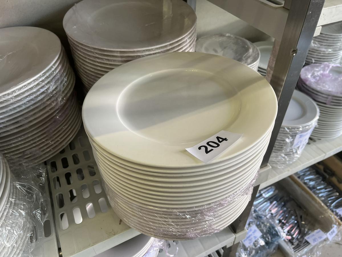 85 Stk. Speisenteller, 30cm DM?d=2026-03-30 22:19:17