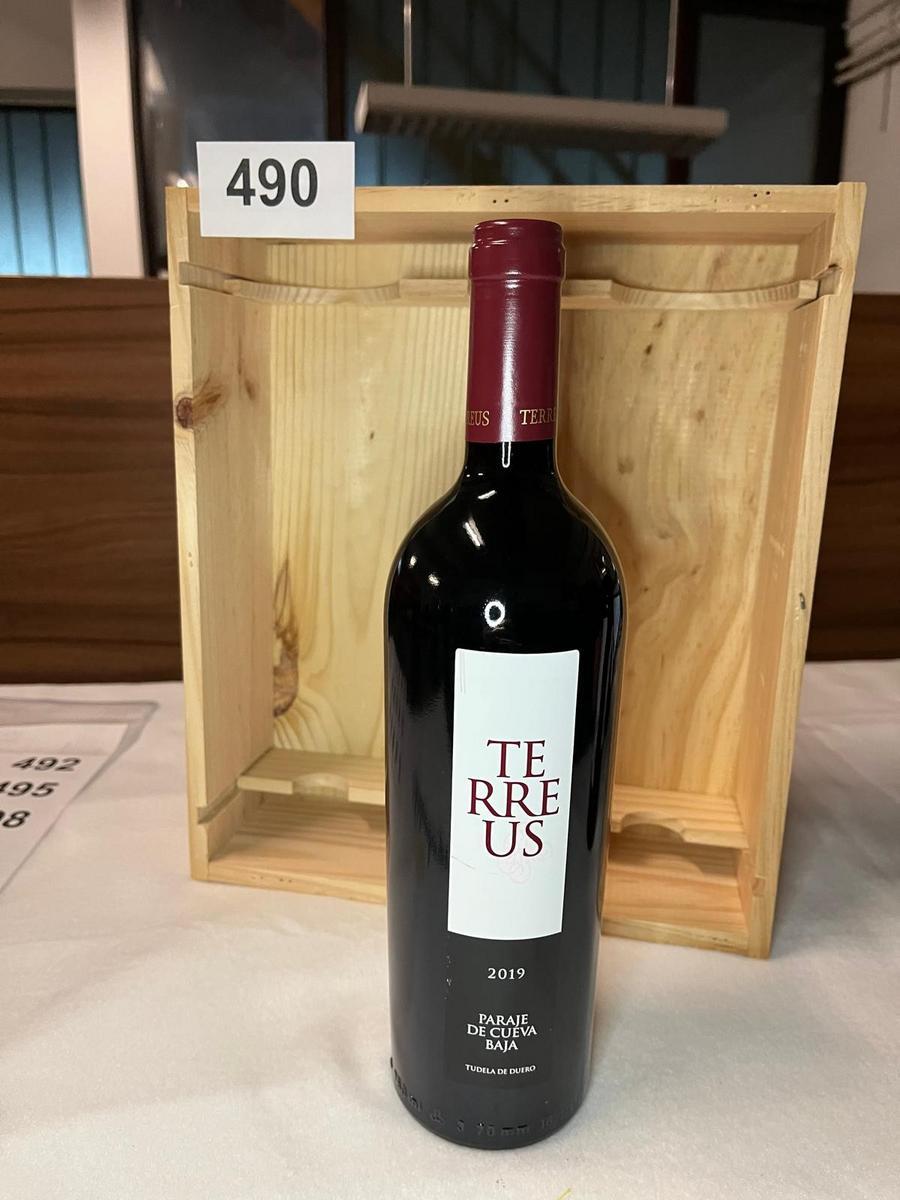 2 Stk. Terreus 2019 Paraje de Cueva Baja