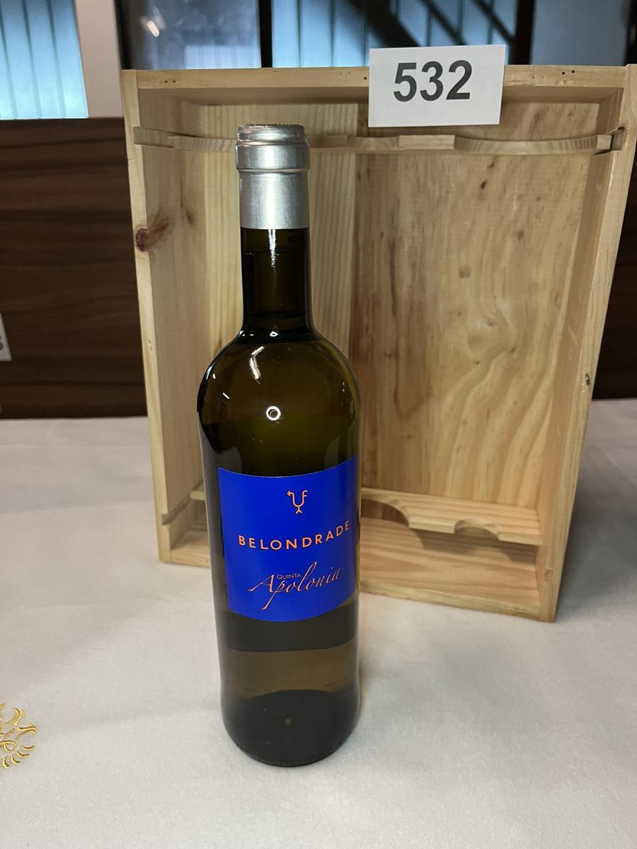 20 Stk. BELONDRADE Quinta Apolonia 2021?d=2026-04-10 17:02:28