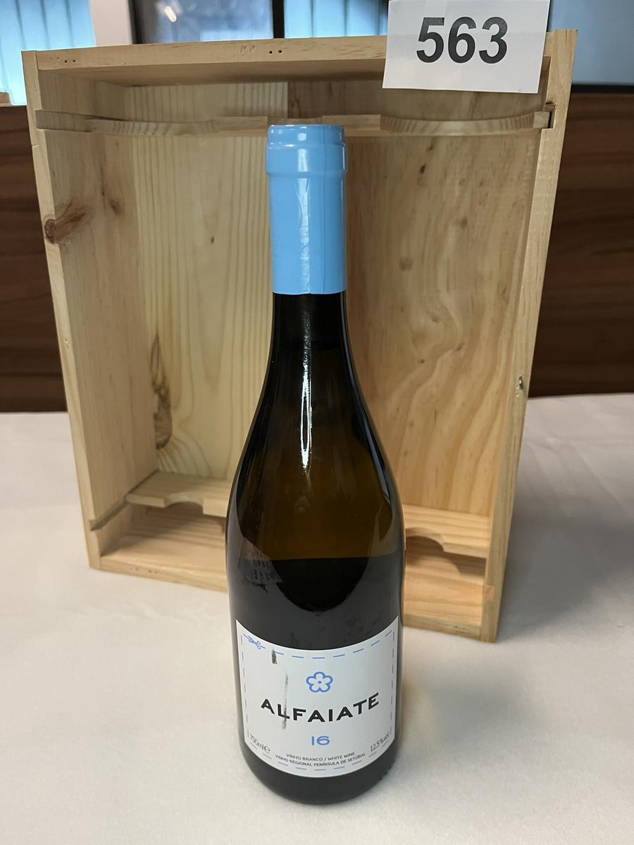 9 Stk. ALFAIATE 16?d=2026-04-10 17:02:31