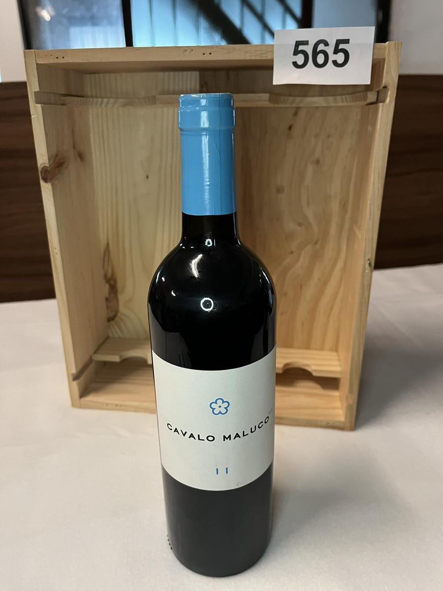 5 Stk. CAVALO MALUCO 11?d=2026-04-29 21:55:27