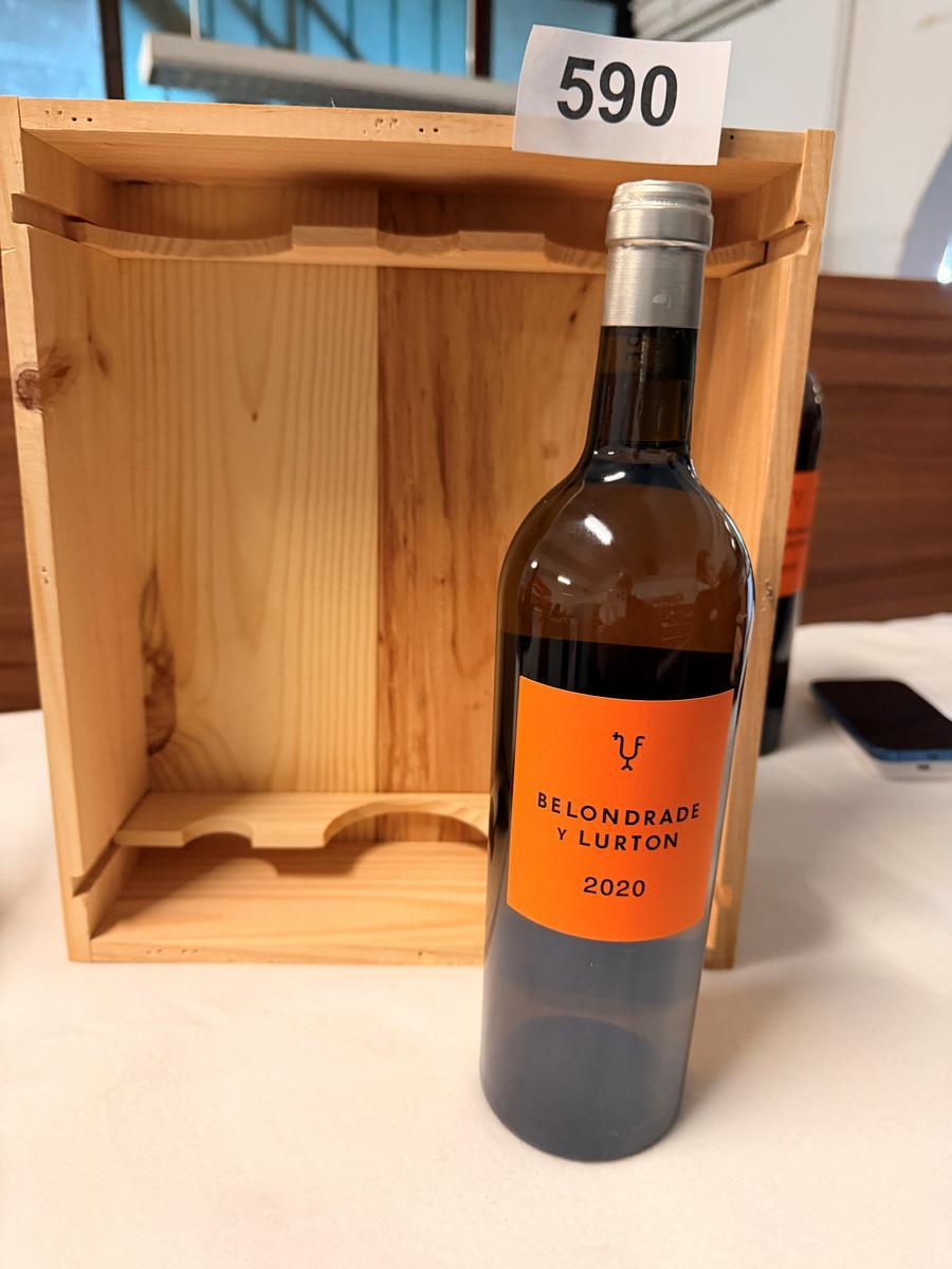 16 Stk. BELONDRADE Y LURTON 2020?d=2026-04-29 21:54:55