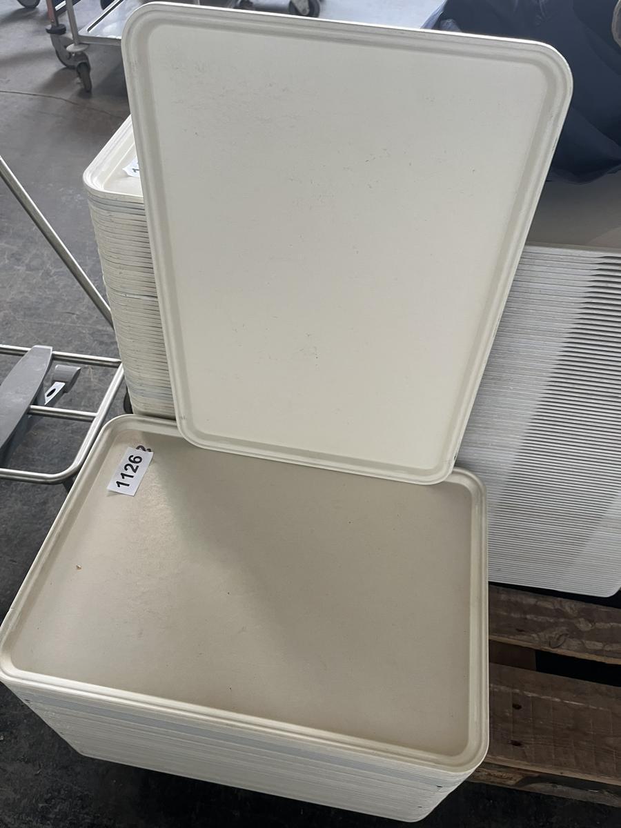 ca. 50 Stk Tabletts 53 x 37 cm