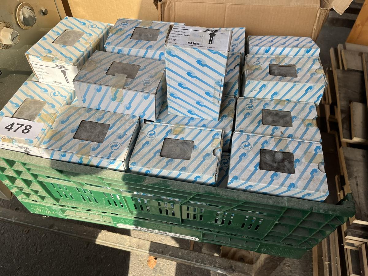50 Packungen Herkules mit Pilzkopf 6 x 40 cm