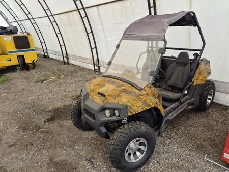 Buggy Buggy