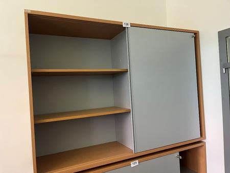 HALI Aktenschrank, 3 Ordnerhöhen, Maße ca. 160 x 45 x 115 cm HALI Aktenschrank, 3 Ordnerhöhen, Maße ca. 160 x 45 x 115 cm