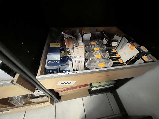 1 Karton mit Soffitten Lampen